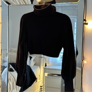Aritzia Wilfred Cropped Turtleneck Sweater